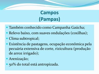 Campos 
(Pampas) 
 Tambémconhecido como Campanha Gaúcha; 
 Relevo baixo, com suaves ondulações (coxilhas); 
 Clima subtropical; 
 Existência de pastagens, ocupação econômica pela 
pecuária extensiva de corte, rizicultura (produção 
de arroz irrigado); 
 Arenização; 
 50% do total está antropizada. 
 