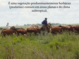 É uma vegetação predominantemente herbácea 
(pradarias) comum em áreas planas e de clima 
subtropical. 
 