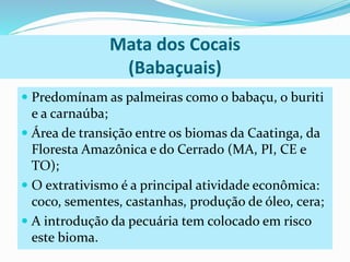 Mata dos Cocais 
(Babaçuais) 
 Predomínam as palmeiras como o babaçu, o buriti 
e a carnaúba; 
 Área de transição entre os biomas da Caatinga, da 
Floresta Amazônica e do Cerrado (MA, PI, CE e 
TO); 
 O extrativismo é a principal atividade econômica: 
coco, sementes, castanhas, produção de óleo, cera; 
 A introdução da pecuária tem colocado em risco 
este bioma. 
 