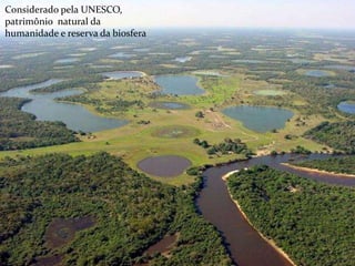 Considerado pela UNESCO, 
patrimônio natural da 
humanidade e reserva da biosfera 
 
