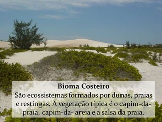 Bioma Costeiro 
São ecossistemas formados por dunas, praias 
e restingas. A vegetação típica é o capim-da-praia, 
capim-da- areia e a salsa da praia. 
 
