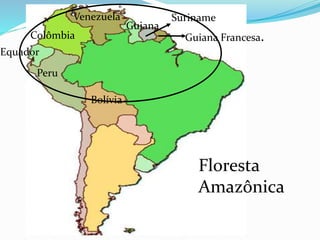 Colômbia 
Peru 
Guiana 
Venezuela 
Equador 
Suriname 
Guiana Francesa. 
Bolívia 
Floresta 
Amazônica 
 