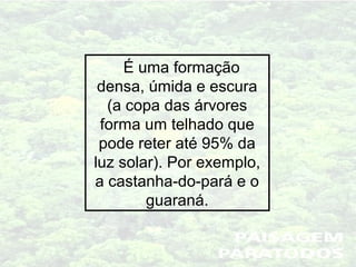 É uma formação
densa, úmida e escura
(a copa das árvores
forma um telhado que
pode reter até 95% da
luz solar). Por exemplo,
a castanha-do-pará e o
guaraná.
 