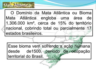 O Domínio da Mata Atlântica ou Bioma
Mata Atlântica engloba uma área de
1.306.000 km², cerca de 15% do território
nacional, cobrindo total ou parcialmente 17
estados brasileiros.
Mata Atlântica:
Esse bioma vem sofrendo a ação humana
desde de1500, período de ocupação
territorial do Brasil.
 