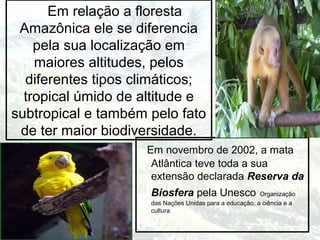 Em relação a floresta
Amazônica ele se diferencia
pela sua localização em
maiores altitudes, pelos
diferentes tipos climáticos;
tropical úmido de altitude e
subtropical e também pelo fato
de ter maior biodiversidade.
Em novembro de 2002, a mata
Atlântica teve toda a sua
extensão declarada Reserva da
Biosfera pela Unesco Organização
das Nações Unidas para a educação, a ciência e a
cultura.
 
