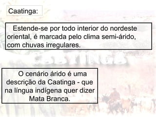 Caatinga:
Estende-se por todo interior do nordeste
oriental, é marcada pelo clima semi-árido,
com chuvas irregulares.
O cenário árido é uma
descrição da Caatinga - que
na língua indígena quer dizer
Mata Branca.
 