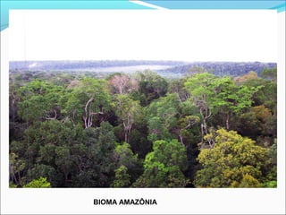 BIOMA AMAZÔNIA
 