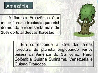 Amazônia
A floresta Amazônica é a
maior floresta tropical/equatorial
do mundo e representa mais de
25% do total dessas florestas.
Ela corresponde a 35% das áreas
florestais do planeta englobando vários
países da América do Sul como: Peru,
Colômbia Guiana Suriname, Venezuela e
Guiana Francesa.
 