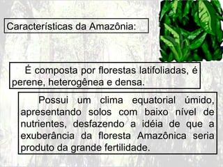 Características da Amazônia:
É composta por florestas latifoliadas, é
perene, heterogênea e densa.
Possui um clima equatorial úmido,
apresentando solos com baixo nível de
nutrientes, desfazendo a idéia de que a
exuberância da floresta Amazônica seria
produto da grande fertilidade.
 