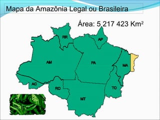 Mapa da Amazônia Legal ou Brasileira
Área: 5 217 423 Km2
 