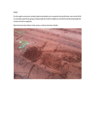 SOLO
O soloargilo-arenosoé caraterizadocomopobre emsuaparte maisprofunda,masmuitofértil
na camada superficial,graçasà deposiçãode matériaorgânicaresultante dadecomposiçãode
restosanimaise vegetais.
Nosterrenosmaisaltose mais secos,osoloé arenosoe ácido.
 
