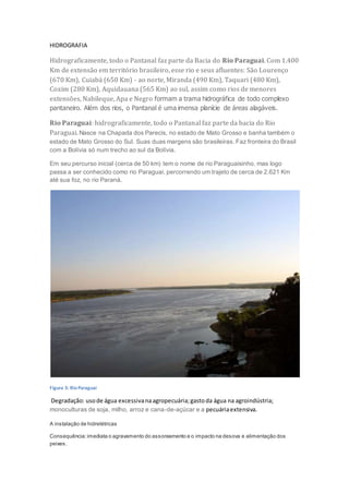 HIDROGRAFIA
Hidrograficamente, todo o Pantanal faz parte da Bacia do Rio Paraguai. Com 1.400
Km de extensão em território brasileiro, esse rio e seus afluentes: São Lourenço
(670 Km), Cuiabá (650 Km) - ao norte, Miranda (490 Km), Taquari (480 Km),
Coxim (280 Km), Aquidauana (565 Km) ao sul, assim como rios de menores
extensões, Nabileque, Apa e Negro formam a trama hidrográfica de todo complexo
pantaneiro. Além dos rios, o Pantanal é uma imensa planície de áreas alagáveis.
Rio Paraguai: hidrograficamente, todo o Pantanal faz parte da bacia do Rio
Paraguai. Nasce na Chapada dos Parecis, no estado de Mato Grosso e banha também o
estado de Mato Grosso do Sul. Suas duas margens são brasileiras. Faz fronteira do Brasil
com a Bolívia só num trecho ao sul da Bolívia.
Em seu percurso inicial (cerca de 50 km) tem o nome de rio Paraguaisinho, mas logo
passa a ser conhecido como rio Paraguai, percorrendo um trajeto de cerca de 2.621 Km
até sua foz, no rio Paraná.
Figura 3: RioParaguai
Degradação: usode água excessivanaagropecuária;gastoda água na agroindústria;
monoculturas de soja, milho, arroz e cana-de-açúcar e a pecuáriaextensiva.
A instalação de hidrelétricas
Consequência:imediata o agravamento do assoreamento e o impacto na desova e alimentação dos
peixes.
 