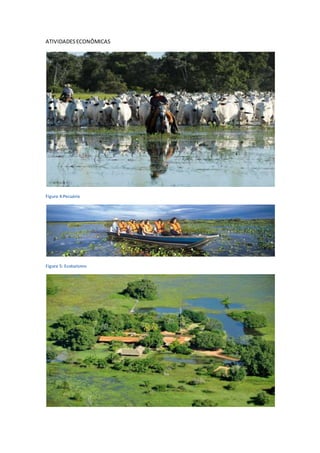 ATIVIDADESECONÔMICAS
Figura 4:Pecuária
Figura 5: Ecoturismo
 