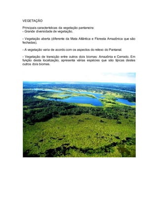 VEGETAÇÃO
Principais características da vegetação pantaneira:
- Grande diversidade de vegetação.
- Vegetação aberta (diferente da Mata Atlântica e Floresta Amazônica que são
fechadas).
- A vegetação varia de acordo com os aspectos do relevo do Pantanal.
- Vegetação de transição entre outros dois biomas: Amazônia e Cerrado. Em
função desta localização, apresenta várias espécies que são típicas destes
outros dois biomas.
 