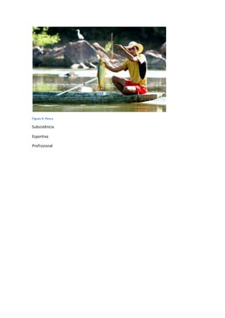 Figura 6: Pesca
Subsistência
Esportiva
Profissional
 