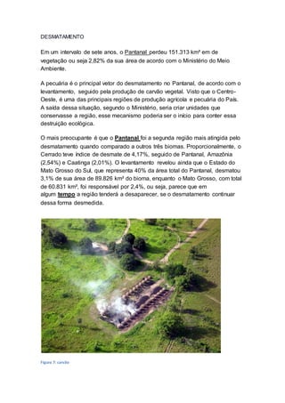 DESMATAMENTO
Em um intervalo de sete anos, o Pantanal perdeu 151.313 km² em de
vegetação ou seja 2,82% da sua área de acordo com o Ministério do Meio
Ambiente.
A pecuária é o principal vetor do desmatamento no Pantanal, de acordo com o
levantamento, seguido pela produção de carvão vegetal. Visto que o Centro-
Oeste, é uma das principais regiões de produção agrícola e pecuária do País.
A saída dessa situação, segundo o Ministério, seria criar unidades que
conservasse a região, esse mecanismo poderia ser o início para conter essa
destruição ecológica.
O mais preocupante é que o Pantanal foi a segunda região mais atingida pelo
desmatamento quando comparado a outros três biomas. Proporcionalmente, o
Cerrado teve índice de desmate de 4,17%, seguido de Pantanal, Amazônia
(2,54%) e Caatinga (2,01%). O levantamento revelou ainda que o Estado do
Mato Grosso do Sul, que representa 40% da área total do Pantanal, desmatou
3,1% de sua área de 89.826 km² do bioma, enquanto o Mato Grosso, com total
de 60.831 km², foi responsável por 2,4%, ou seja, parece que em
algum tempo a região tenderá a desaparecer, se o desmatamento continuar
dessa forma desmedida.
Figura 7: carvão
 