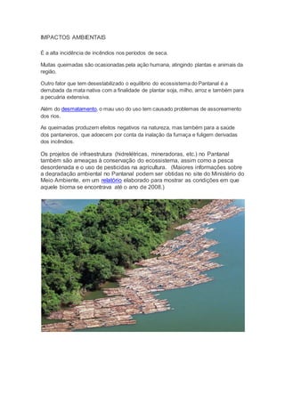 IMPACTOS AMBIENTAIS
É a alta incidência de incêndios nos períodos de seca.
Muitas queimadas são ocasionadas pela ação humana, atingindo plantas e animais da
região.
Outro fator que tem desestabilizado o equilíbrio do ecossistema do Pantanal é a
derrubada da mata nativa com a finalidade de plantar soja, milho, arroz e também para
a pecuária extensiva.
Além do desmatamento, o mau uso do uso tem causado problemas de assoreamento
dos rios.
As queimadas produzem efeitos negativos na natureza, mas também para a saúde
dos pantaneiros, que adoecem por conta da inalação da fumaça e fuligem derivadas
dos incêndios.
Os projetos de infraestrutura (hidrelétricas, mineradoras, etc.) no Pantanal
também são ameaças à conservação do ecossistema, assim como a pesca
desordenada e o uso de pesticidas na agricultura. (Maiores informações sobre
a degradação ambiental no Pantanal podem ser obtidas no site do Ministério do
Meio Ambiente, em um relatório elaborado para mostrar as condições em que
aquele bioma se encontrava até o ano de 2008.)
 