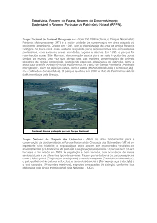 Extrativista, Reserva de Fauna, Reserva de Desenvolvimento
Sustentável e Reserva Particular de Patrimônio Natural (RPPN).
Parque Nacional do Pantanal Matogrossense - Com 136.028 hectares, o Parque Nacional do
Pantanal Matogrossense (MT) é a maior unidade de conservação em área alagada do
continente americano. Criado em 1981, com a incorporação da área da antiga Reserva
Biológica do Cara-cará, essa unidade resguarda parte representativa dos ecossistemas
pantaneiros, com extensas áreas inundadas, lagoas e riachos. Em 1993, o parque foi
reconhecido como Sítio Ramsar, denominação usada para as mais importantes zonas
úmidas do mundo uma vez que abriga uma das maiores concentrações de animais
silvestres da região neotropical, protegendo espécies ameaçadas de extinção, como a
arara-azul-grande (Anodorhynchus hyacinthinus) e o jacu-de-barriga-vermelha (Penelope
ochrogaster), além de espécies raras, como a catita (Monodelphis kunsi) e o macaco zog-
zog (Callicebus donacophilus). O parque recebeu em 2000 o título de Patrimônio Natural
da Humanidade pela Unesco.
Parque Nacional da Chapada dos Guimarães - Além de área fundamental para a
conservação da biodiversidade, o Parque Nacional da Chapada dos Guimarães (MT) é um
importante sítio histórico e arqueológico onde podem ser encontrados vestígios de
assentamentos pré-históricos, de pinturas e de gravações rupestres. O parque tem 32.776
hectares e foi criado em 1989. A vegetação é bem variada, com ocorrência de matas
semideciduais e de diferentes tipos de savanas. Fazem parte da fauna do parque espécies
como o lobo-guará (Chrysocyon brachyurus), o veado-campeiro (Ozotocerus bezoarticus),
o gato-palheiro (Herpailurus colocolo), o tamanduá-bandeira (Myrmecophaga tridactyla) e
o tatu canastra (Priodontes maximus), espécies ameaçadas de extinção conforme lista
elaborada pela União Internacional pela Natureza – IUCN.
 