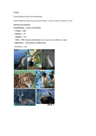FAUNA
É uma espécie muitoricae exuberante.
Fauna endêmica:Apesar da grande biodiversidade, o número de espécies endêmicas é baixo.
Número de espécies:
Invertebrados – pouco conhecidos
– Peixes – 263
– Anfíbios – 41
– Répteis - 113
– Aves – 463. (Chororó-do-Pantanalé a única espécie de ave endêmica da região).
– Mamíferos – 132 (sendo 2 endêmicas).
– Borboletas - 1.032
 