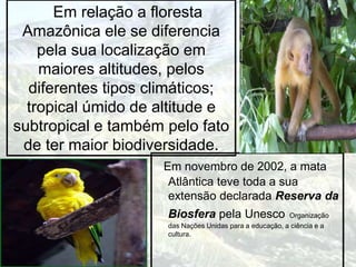 Em relação a floresta
Amazônica ele se diferencia
pela sua localização em
maiores altitudes, pelos
diferentes tipos climáticos;
tropical úmido de altitude e
subtropical e também pelo fato
de ter maior biodiversidade.
Em novembro de 2002, a mata
Atlântica teve toda a sua
extensão declarada Reserva da
Biosfera pela Unesco Organização
das Nações Unidas para a educação, a ciência e a
cultura.
 