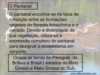 O Pantanal
Ocupa as terras do Paraguai, da
Bolívia e Brasil ( estados do Mato
Grosso e Mato Grosso do Sul).
www.wiltonoliveira.com
O pantanal encontra-se na faixa de
transição entre as formações
vegetais do floresta Amazônica e o
cerrado. Devido a diversidade de
sua vegetação, utiliza-se a
expressão complexo do pantanal
para designar o ecossistema em
conjunto.
 