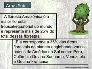 Amazônia
A floresta Amazônica é a
maior floresta
tropical/equatorial do mundo
e representa mais de 25% do
total dessas florestas.
Ela corresponde a 35% das áreas
florestais do planeta englobando vários
países da América do Sul como: Peru,
Colômbia Guiana Suriname, Venezuela
e Guiana Francesa.
www.wiltonoliveira.com
 