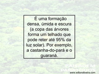 É uma formação
densa, úmida e escura
(a copa das árvores
forma um telhado que
pode reter até 95% da
luz solar). Por exemplo,
a castanha-do-pará e o
guaraná.
www.wiltonoliveira.com
 