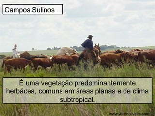 Campos Sulinos
É uma vegetação predominantemente
herbácea, comuns em áreas planas e de clima
subtropical.
www.wiltonoliveira.com
 