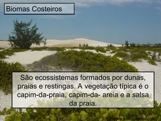 Biomas Costeiros
São ecossistemas formados por dunas,
praias e restingas. A vegetação típica é o
capim-da-praia, capim-da- areia e a salsa
da praia.
www.wiltonoliveira.com
 