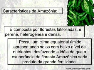 Características da Amazônia:
É composta por florestas latifoliadas, é
perene, heterogênea e densa.
Possui um clima equatorial úmido,
apresentando solos com baixo nível de
nutrientes, desfazendo a idéia de que a
exuberância da floresta Amazônica seria
produto da grande fertilidade.
www.wiltonoliveira.com
 