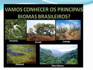 Os biomas brasileiros , plano de aula ppt | PPTX