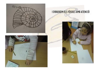 I DIBUIXEM ELS FÒSSILS AMB ATENCIÓ
 