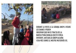 DURANT LA VISITA A LA GRANJA ANEM A VEURE
LESDAINESIPODEM
OBSERVARQUENOESTRACTADELA
BANYAD’UNADAINAJAQUEÉSFORÇA
DIFERENT,AIXÍQUEJASABEMALGUNA
COSAMÉSSOBREELNOSTREMISTERIÓS OS.
 