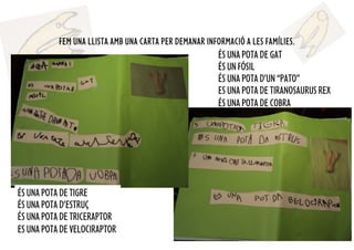 ÉS UNA POTA DE GAT
ÉS UN FÓSIL
ÉS UNA POTA D’UN “PATO”
ES UNA POTA DE TIRANOSAURUS REX
ÉS UNA POTA DE COBRA
FEM UNA LLISTA AMB UNA CARTA PER DEMANAR INFORMACIÓ A LES FAMÍLIES.
..
ÉS UNA POTA DE TIGRE
ÉS UNA POTA D’ESTRUÇ
ÉS UNA POTA DE TRICERAPTOR
ES UNA POTA DE VELOCIRAPTOR
 