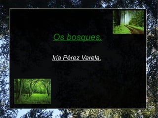 Os bosques. Iria Pérez Varela.   