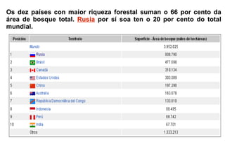 Os dez países con maior riqueza forestal suman o 66 por cento da
área de bosque total. Rusia por sí soa ten o 20 por cento do total
mundial.
 