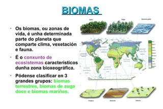 BIOMAS

    Os biomas, ou zonas de
    vida, é unha determinada
    parte do planeta que
    comparte clima, vexetación
    e fauna.

    É o conxunto de
    ecosistemas característicos
    dunha zona bioxeográfica.

    Pódense clasificar en 3
    grandes grupos: biomas
    terrestres, biomas de auga
    doce e biomas mariños.
 