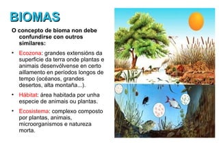 BIOMAS
O concepto de bioma non debe
  confundirse con outros
  similares:

    Ecozona: grandes extensións da
    superficie da terra onde plantas e
    animais desenvólvense en certo
    aillamento en períodos longos de
    tempo (océanos, grandes
    desertos, alta montaña...).

    Hábitat: área habitada por unha
    especie de animais ou plantas.

    Ecosistema: complexo composto
    por plantas, animais,
    microorganismos e natureza
    morta.
 