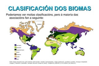 CLASIFICACIÓN DOS BIOMAS
Poderiamos ver moitas clasificacións, pero á maioría das
  asociacións fan a seguinte:
 