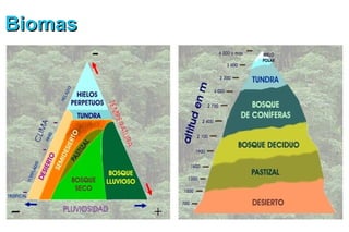 Biomas
 