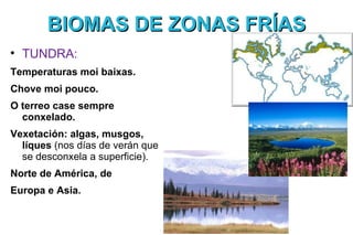 BIOMAS DE ZONAS FRÍAS

    TUNDRA:
Temperaturas moi baixas.
Chove moi pouco.
O terreo case sempre
  conxelado.
Vexetación: algas, musgos,
  líques (nos días de verán que
  se desconxela a superficie).
Norte de América, de
Europa e Asia.
 