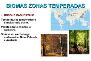 BIOMAS ZONAS TEMPERADAS

    BOSQUE CADUCIFOLIO
Temperaturas temperadas e
  chuvias todo o ano.
Vexetación: o carballo, o
  castiñeiro.
Sitúase ao sur da taiga,
   sudamérica, Nova Zelanda
   e Australia.
 