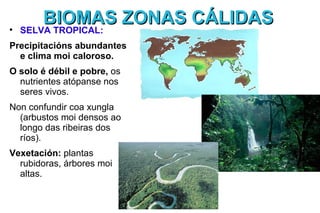 BIOMAS ZONAS CÁLIDAS

    SELVA TROPICAL:
Precipitacións abundantes
  e clima moi caloroso.
O solo é débil e pobre, os
  nutrientes atópanse nos
  seres vivos.
Non confundir coa xungla
  (arbustos moi densos ao
  longo das ribeiras dos
  ríos).
Vexetación: plantas
  rubidoras, árbores moi
  altas.
 