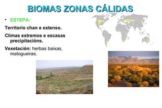 BIOMAS ZONAS CÁLIDAS

    ESTEPA:
Territorio chan e extenso.
Climas extremos e escasas
   precipitacións.
Vexetación: herbas baixas,
  matogueiras.
 