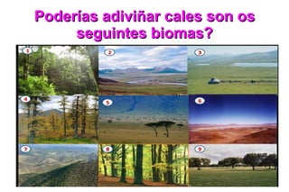 Poderías adiviñar cales son os
     seguintes biomas?
 