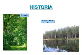 HISTORIA
Primario

               Antropoxénic
                    o
 