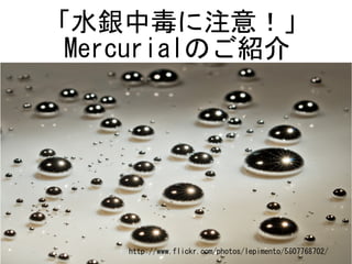 「水銀中毒に注意！」
 Mercurialのご紹介




    http://www.flickr.com/photos/lepimento/5607768702/
 