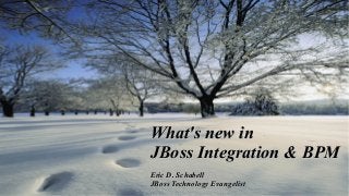 What's new in
JBoss Integration & BPM
1

Eric D. Schabell
JBoss Technology Evangelist

 