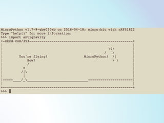 chibi:bitとMicroPythonで始めるフィジカルコンピューティング