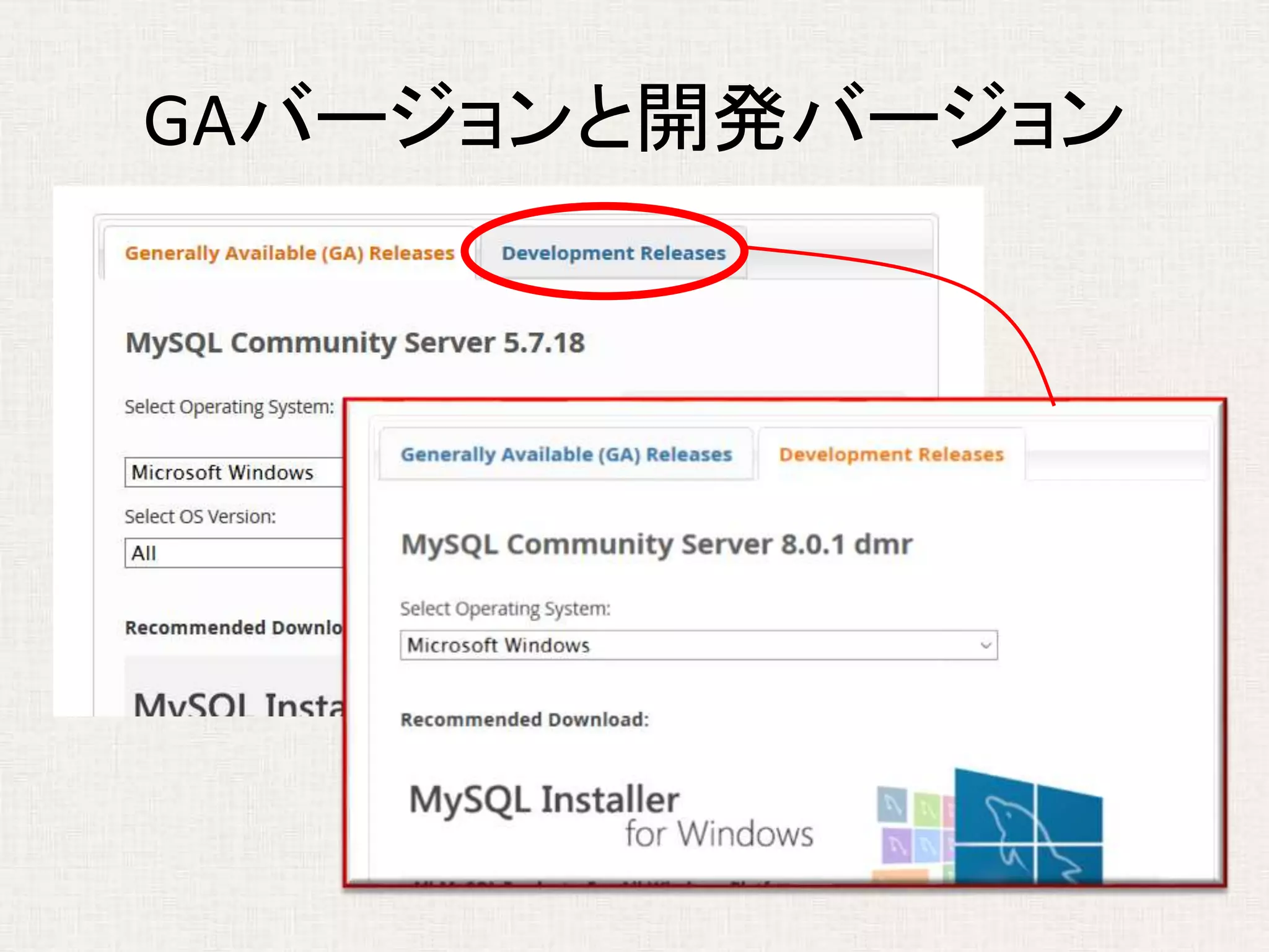 GAバージョンと開発バージョン
 